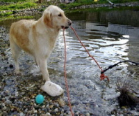 Nele am Teich unterwegs